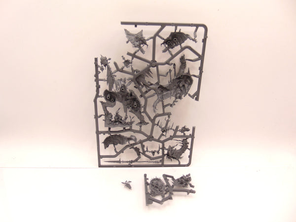 Killaboss on Great Gnashtoof