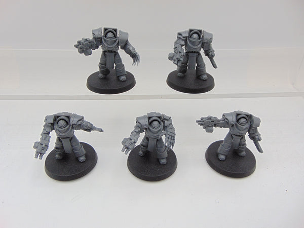 Cataphractii Terminator Squad