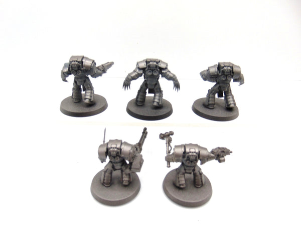 Cataphractii Terminator Squad