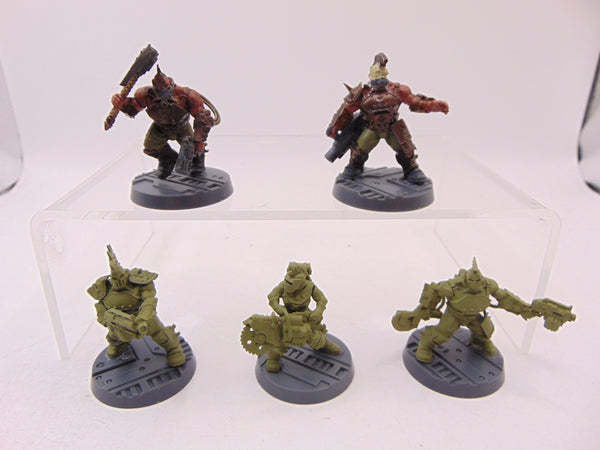Goliath Gang