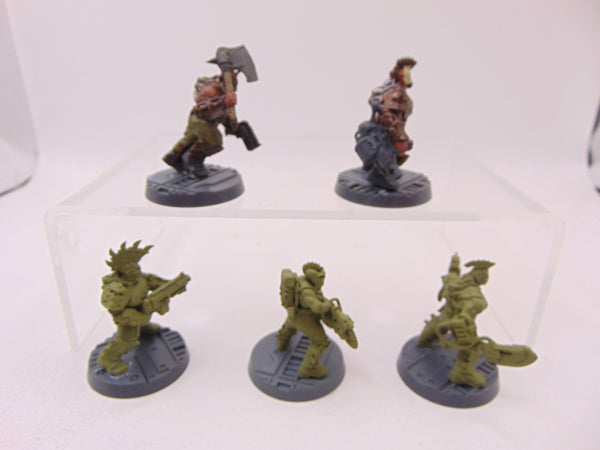 Goliath Gang