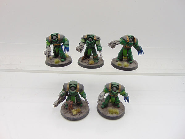 Cataphractii Terminator Squad