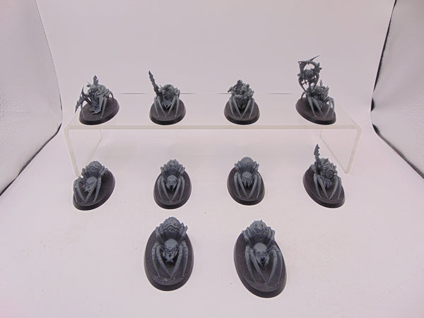 Spider Riders