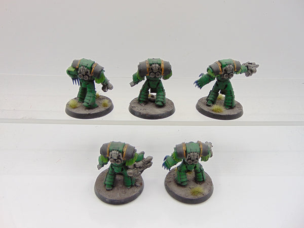 Cataphractii Terminator Squad