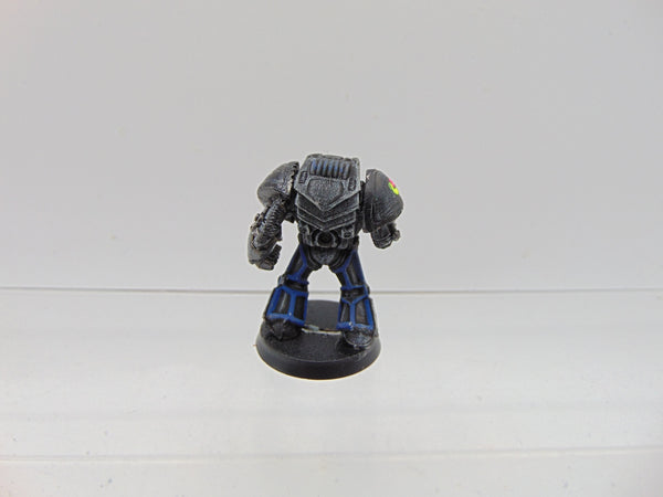 Rogue Trader Terminator