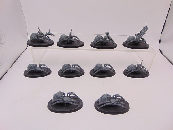 Spider Riders