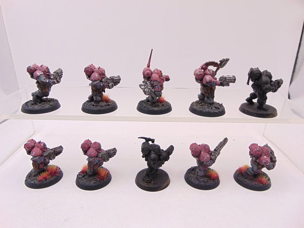 Hearthkyn Warriors