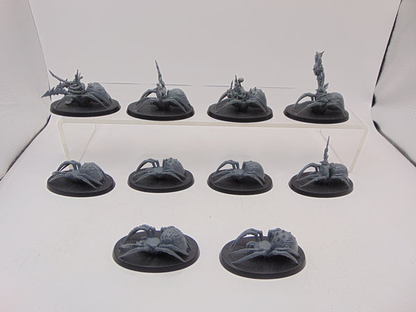 Spider Riders