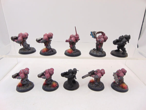 Hearthkyn Warriors