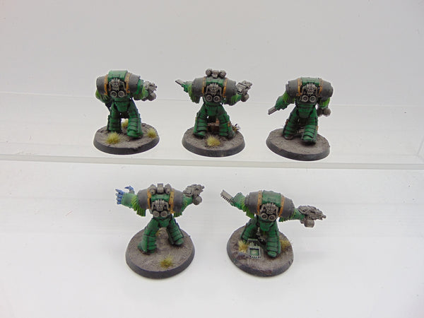 Cataphractii Terminator Squad