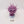 Purple Sun of Shyish
