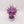 Purple Sun of Shyish