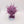 Purple Sun of Shyish