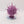 Purple Sun of Shyish