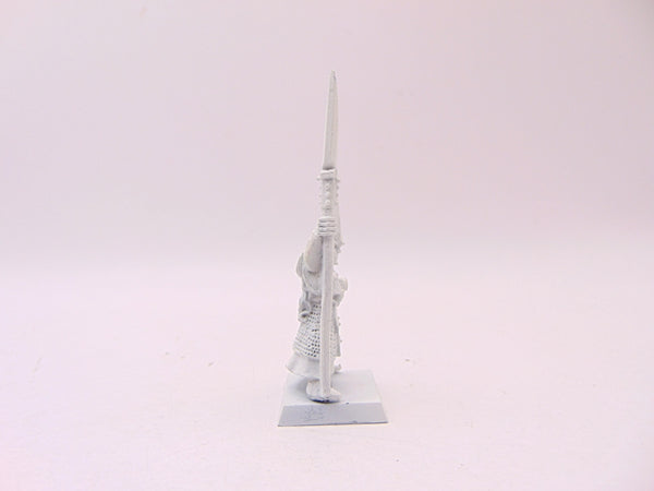Dark Elf Spearman