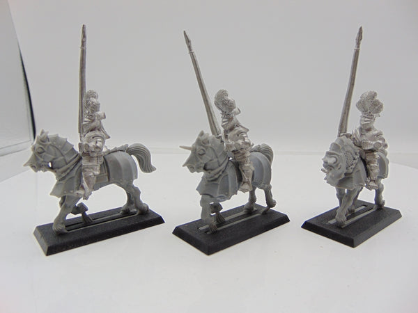 Reiksguard Knights