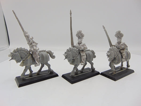 Reiksguard Knights