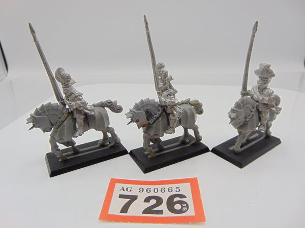 Reiksguard Knights