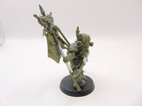 Plague Marine Icon Bearer