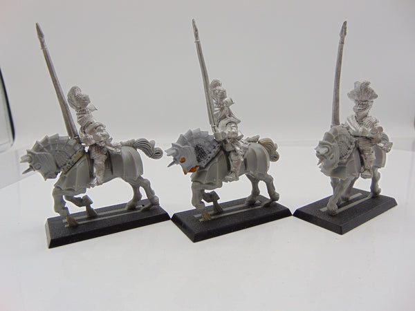 Reiksguard Knights