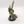 Plague Marine Icon Bearer