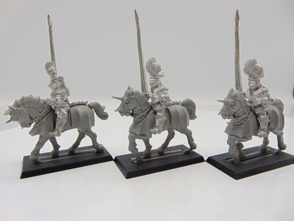 Reiksguard Knights