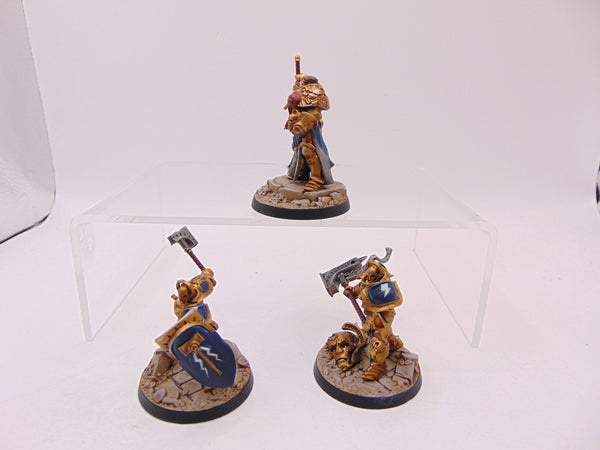 Steelheart's Champions
