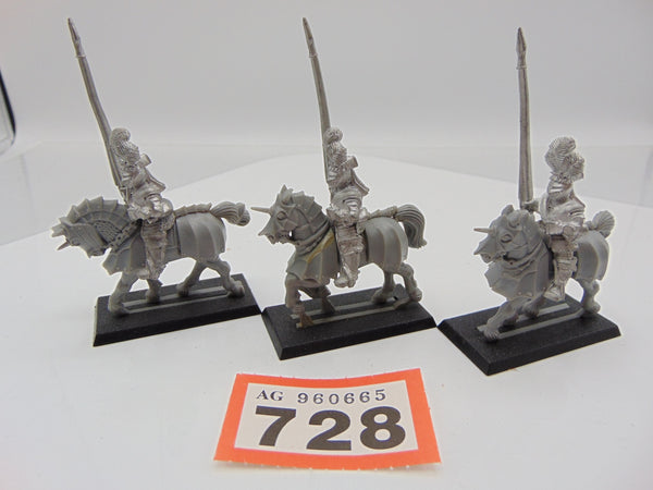 Reiksguard Knights