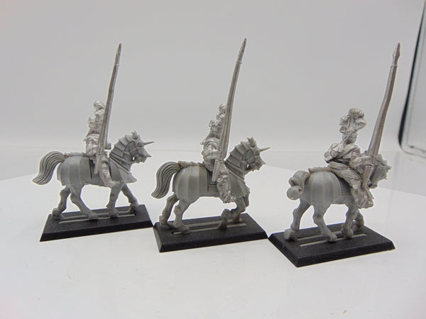 Reiksguard Knights