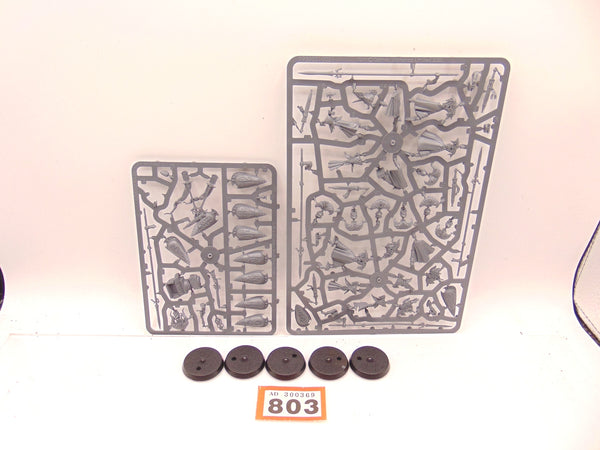 Vanari Auralan Wardens