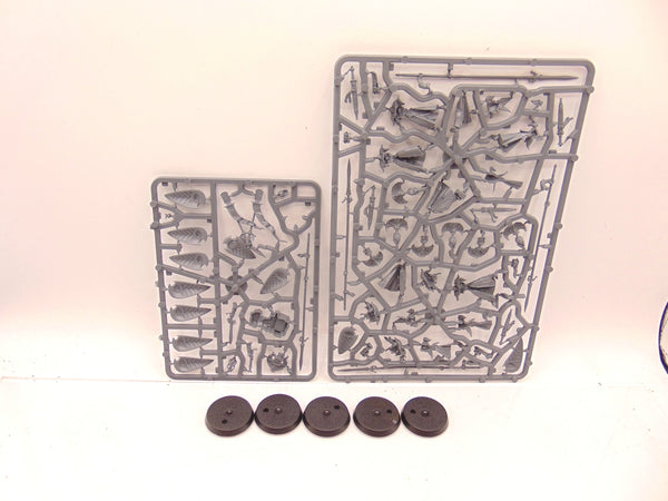 Vanari Auralan Wardens