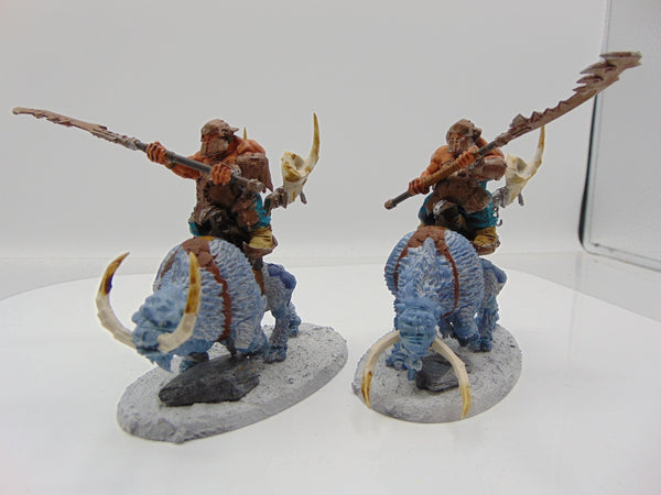 Mournfang Cavalry Pack