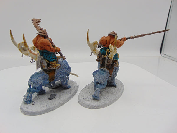 Mournfang Cavalry Pack