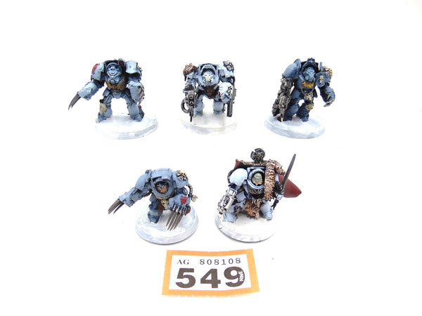 Wolf Guard Terminators