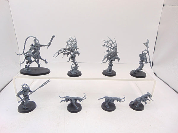 Warcry: Teratic Cohort