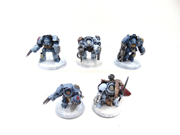 Wolf Guard Terminators