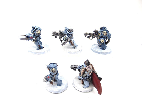 Wolf Guard Terminators