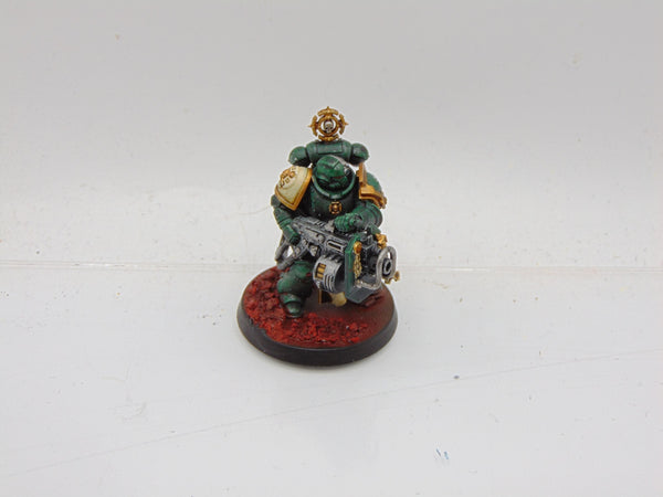 Primaris Veteran with Heavy Bolter