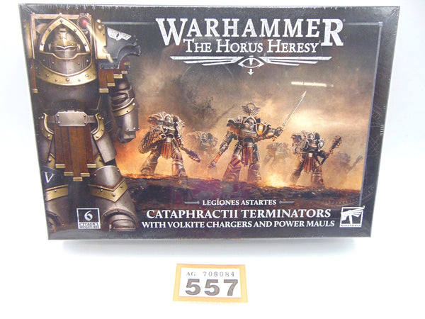 Cataphractii Terminators with Volkite Chargers and Power Mauls