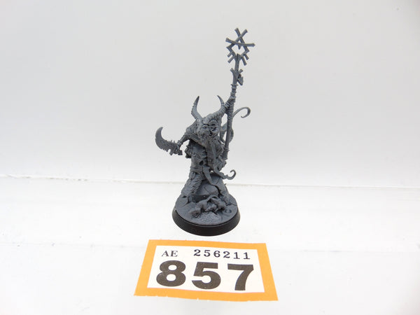 Grey Seer