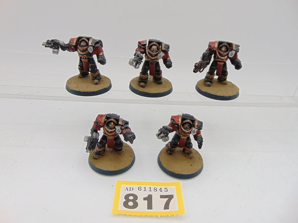 Cataphractii Terminator Squad