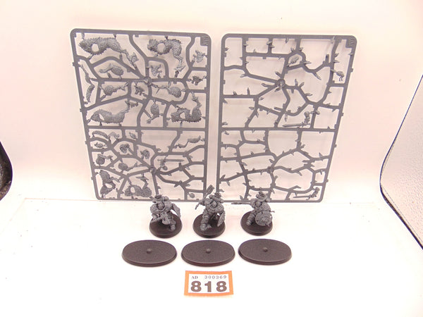 Wolf Guard Headtakers