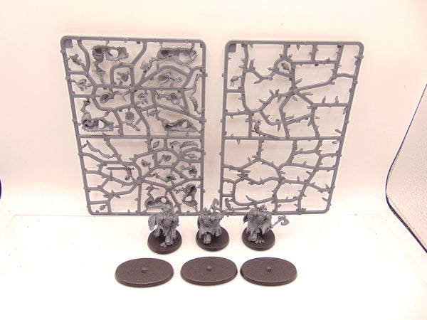 Wolf Guard Headtakers