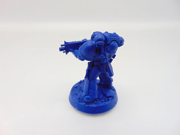 Brother Vignius