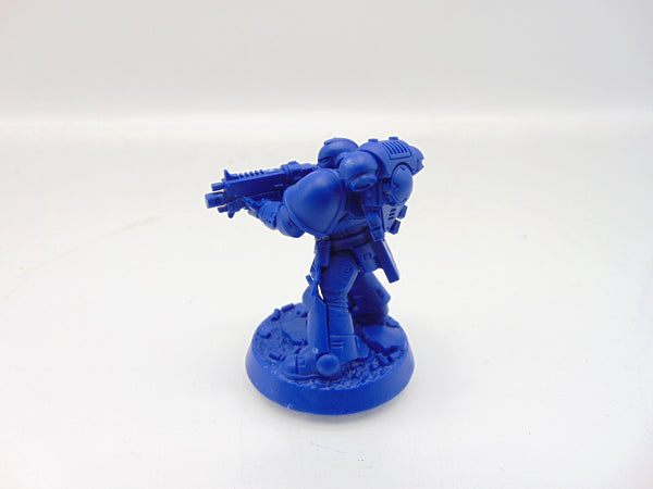 Brother Vignius