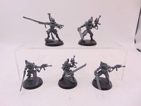 Striking Scorpions