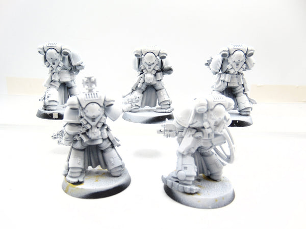 Sternguard Veterans