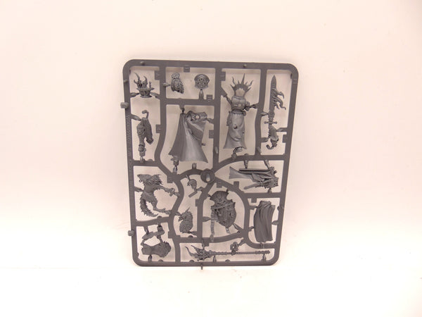 Lord Veritant with Gryph Crow