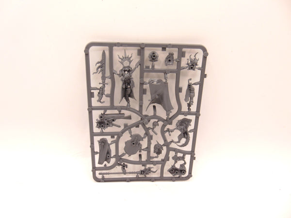 Lord Veritant with Gryph Crow