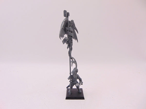 Captain of the Empire with Battle Standard